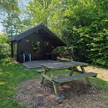 Camping Alkenhaer Appelscha Blokhut Basic Екстер'єр фото